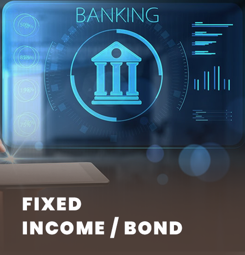 Fixed Income Bond